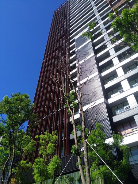 新店寶徠花園 圖片 5